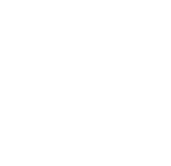 Reckless Ninety-Nine